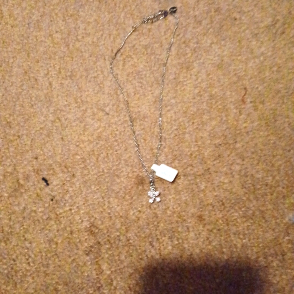 *Last Chance *Lia Sophia necklace